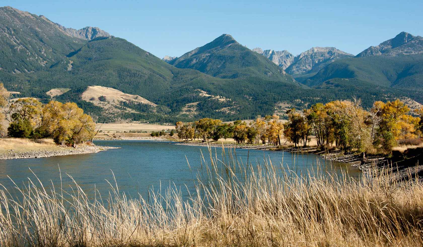 yellowstone river montana image