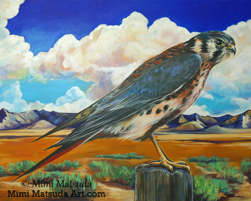 Mimi Matsuda, Kestrel falcon